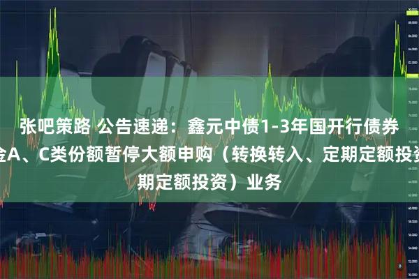 张吧策路 公告速递：鑫元中债1-3年国开行债券指数基金A、C类份额暂停大额申购（转换转入、定期定额投资）业务