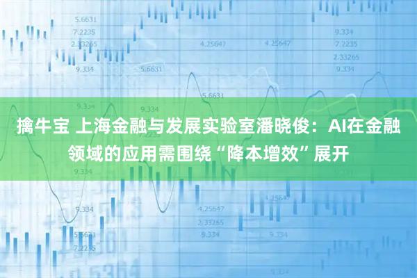 擒牛宝 上海金融与发展实验室潘晓俊：AI在金融领域的应用需围绕“降本增效”展开